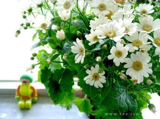 过程须细品，生活有滋味