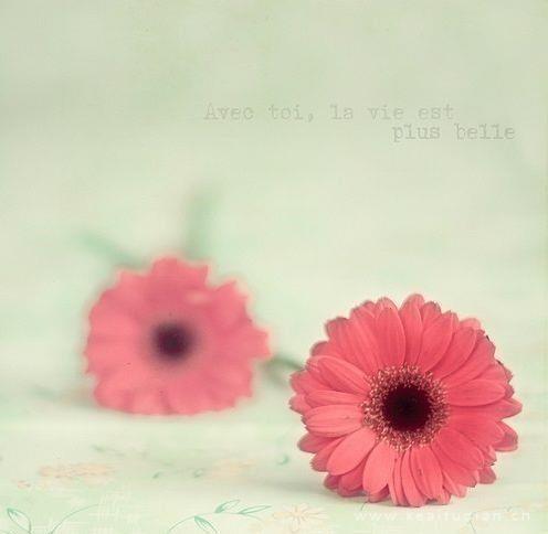 关于歌颂母爱的诗句：母爱句子