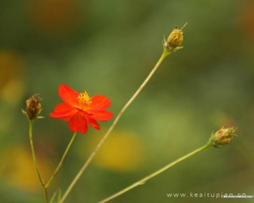 她还在原来那座公墓里吧？