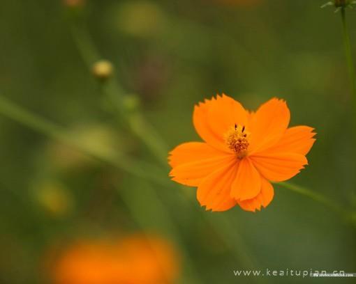 激励自己不断前进的名言警句