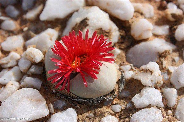 我希望和你终身相依