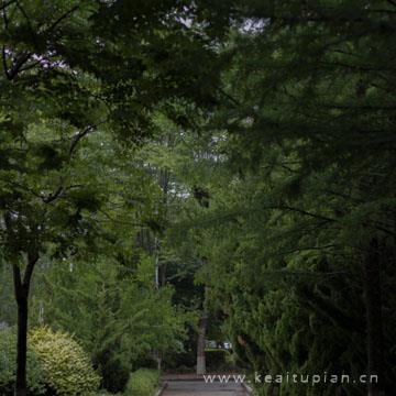 曾有一个微笑打开我的心窗