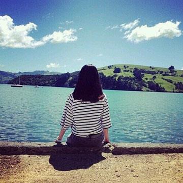 常春藤与擎天树