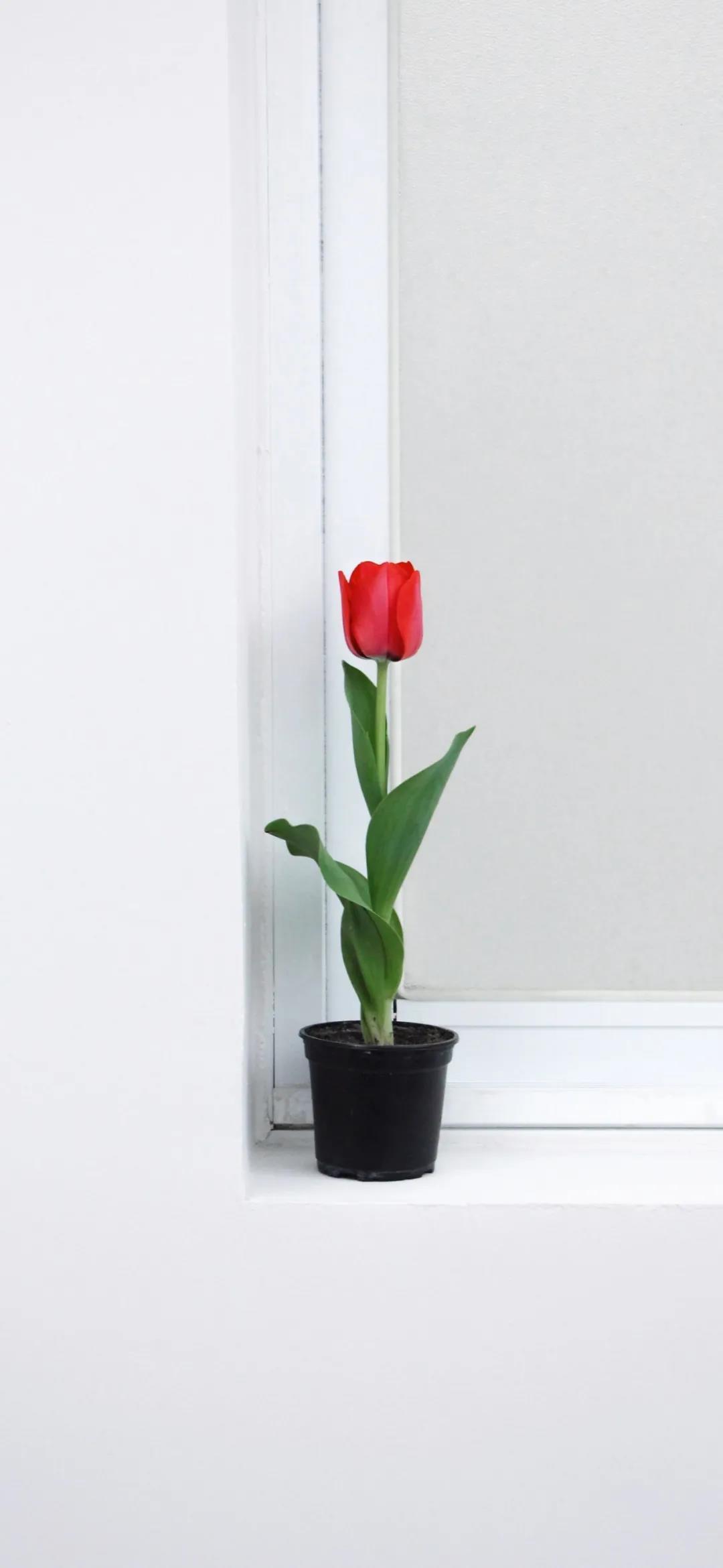 100句意味深长的心情语录/心情短语