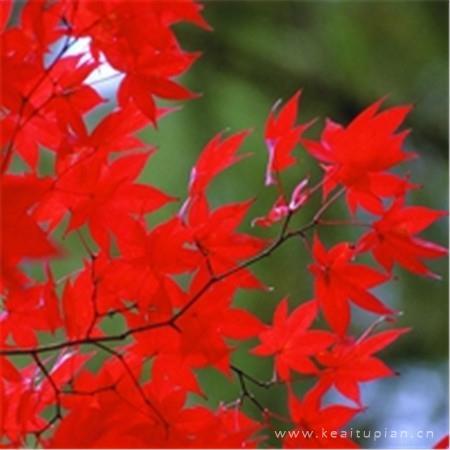 我给孩子的一封信