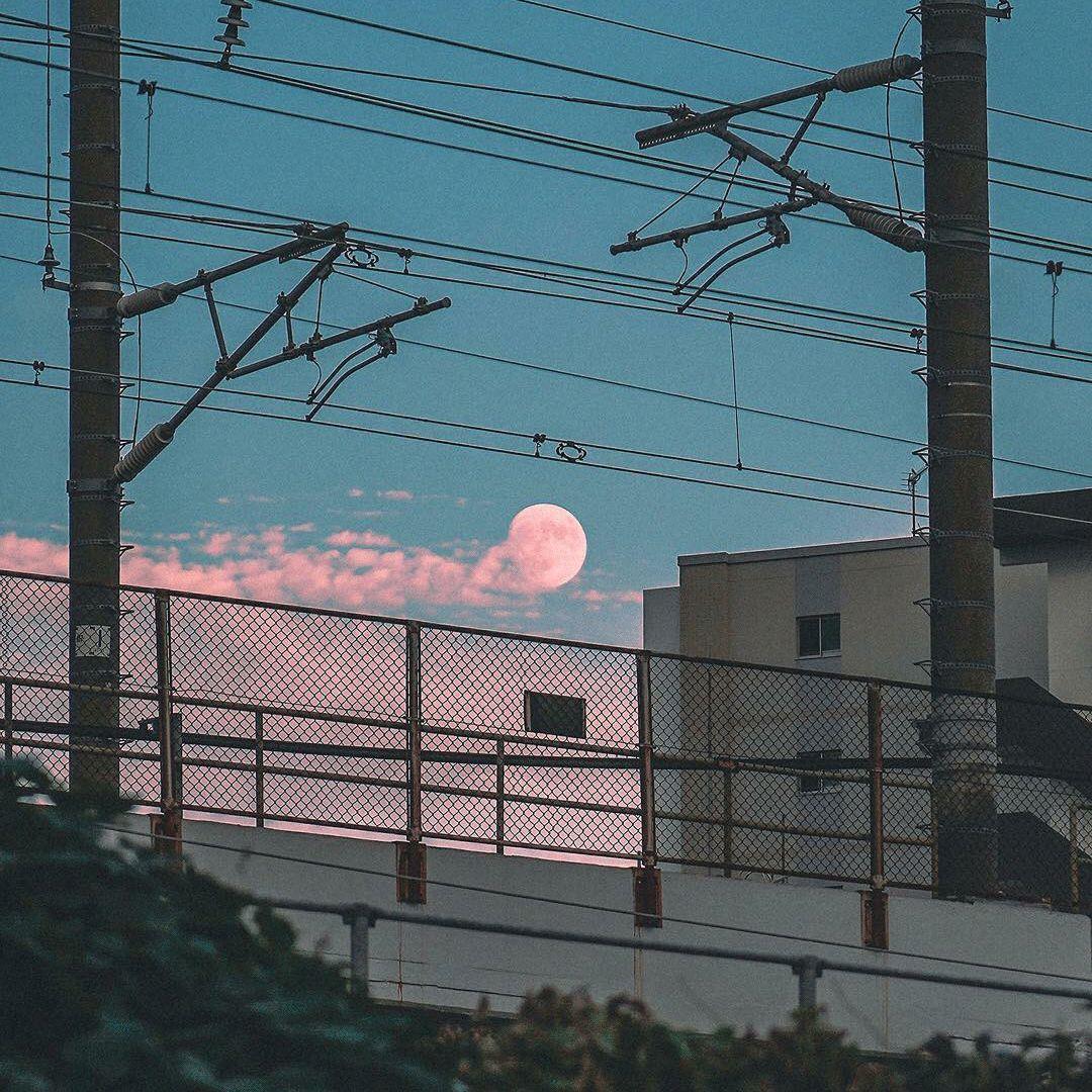 三寸的天堂，木兰香遮不住的伤