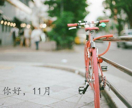 被那枚执着的小女人刺激了