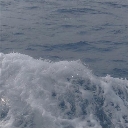 今夜窗外飘雪花