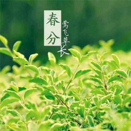 人生何必重新来过