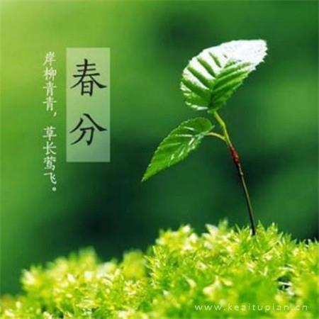 青青河边草，悠悠河岸香