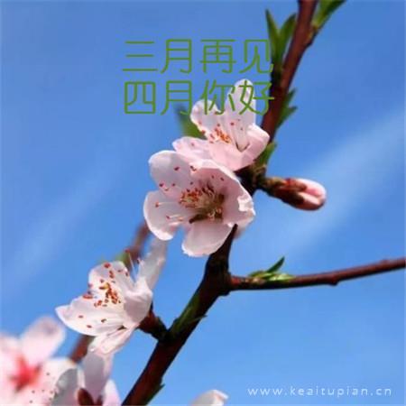 覆水之舟