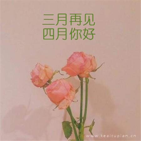 描写少年外貌的句子