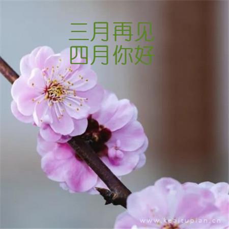 晚安图片带字幽默图片