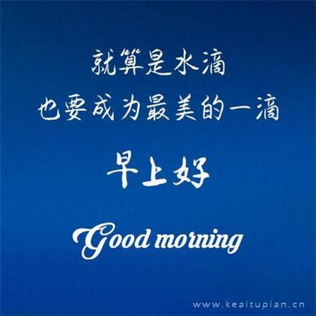 疯牛血口红