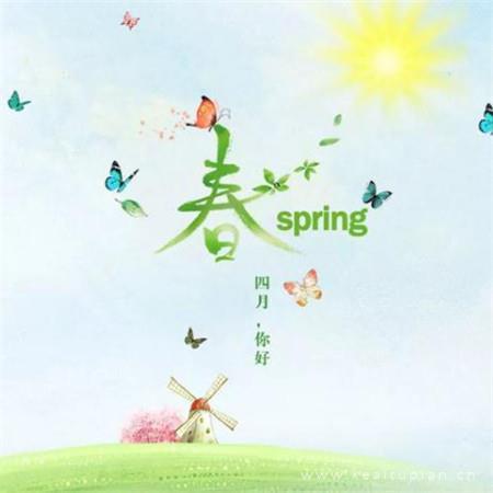 爱情的种子没有发芽