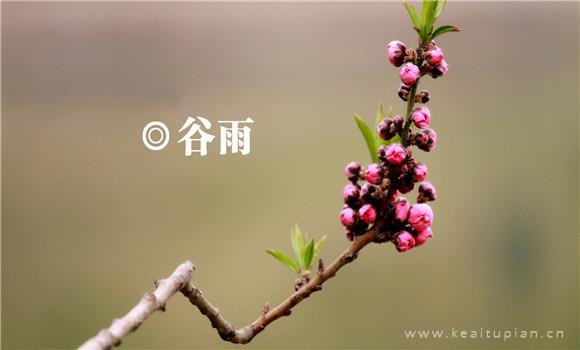 归零??开启另一段精彩人生
