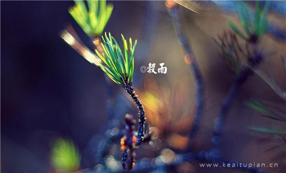 伤感短句看完哭了那种/伤感短句