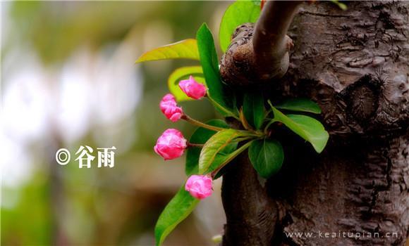 爱上爱情，爱上他