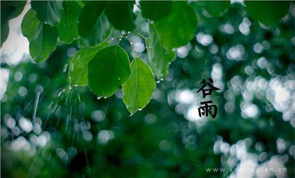 我黑屏了