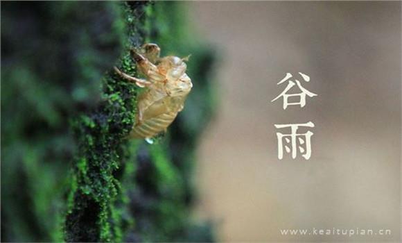 春意盎然，春情缱绻