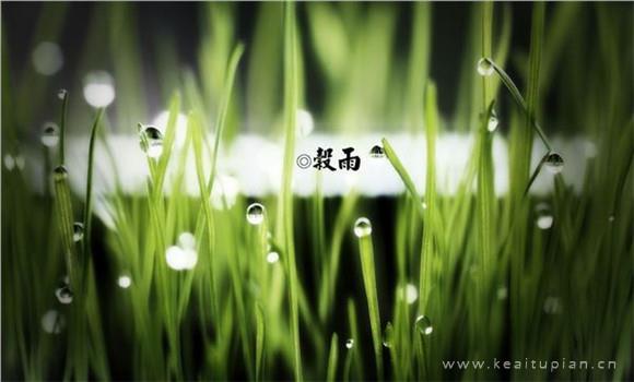 踮起脚来爱你的人