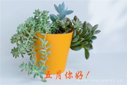 女性励志：做一个精致的女人
