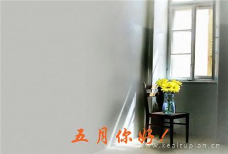 一张床板
