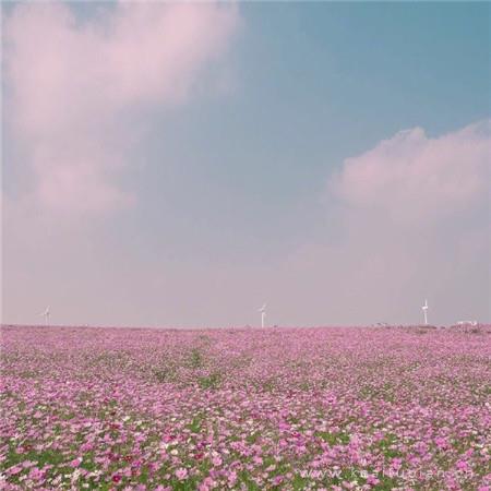 别在坟地里抽烟