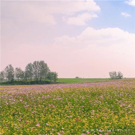 付出是痛苦的“解药”