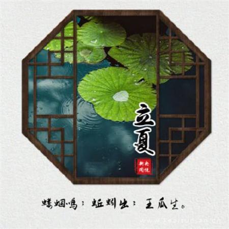 养活我的父母