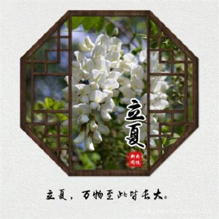 河水与河岸