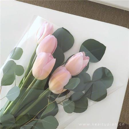 您和婚姻有六个误会