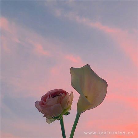 说说心情短语，经典qq说说心情短语