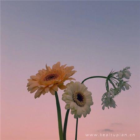 100句经典唯美的爱情语录,爱情短语