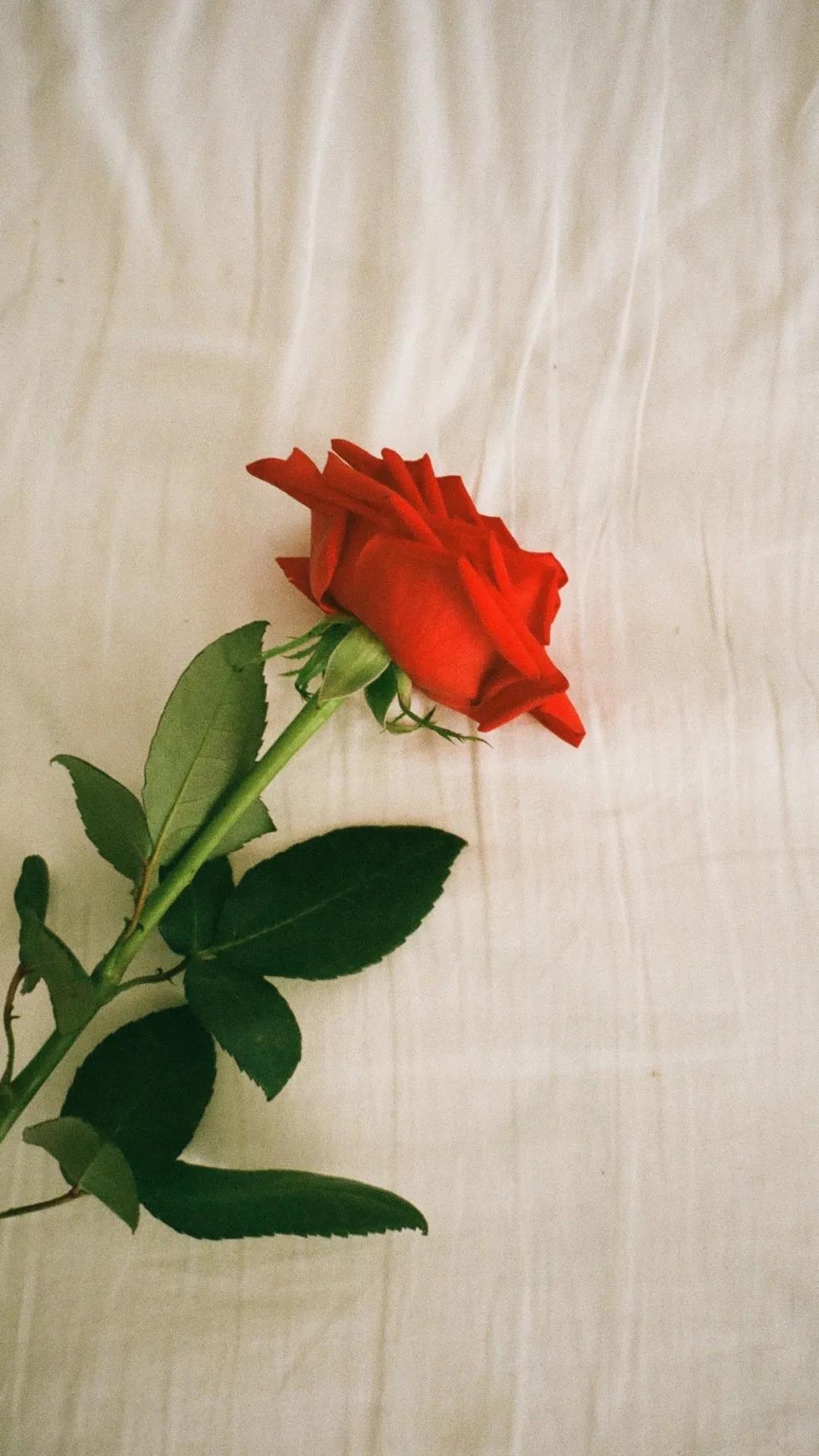 搞笑整人的一句话 搞笑短句