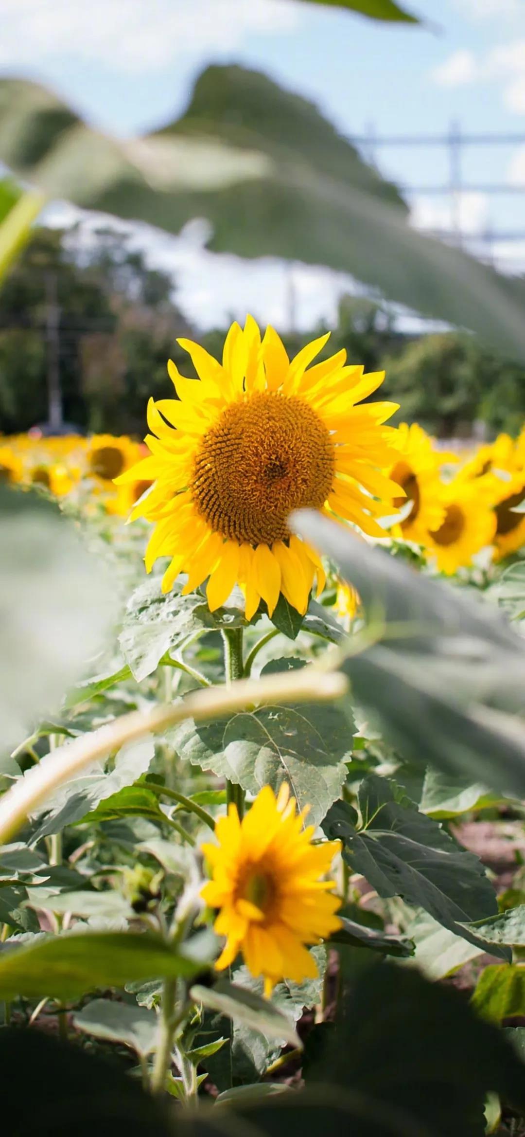 难以倾诉的事实