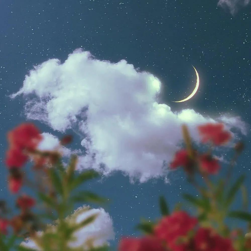 蓝殇，一伤经年