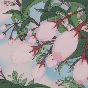 老师外貌描写片段有哪些