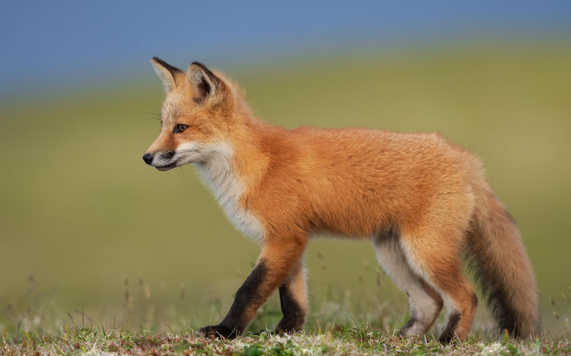 美好爱情唯美文字图片_一日不见真的想念
