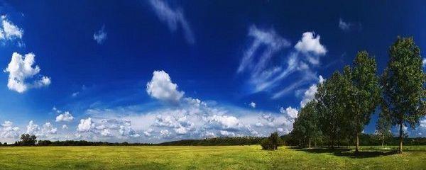 繁衍若华，谁能与我不诉离殇