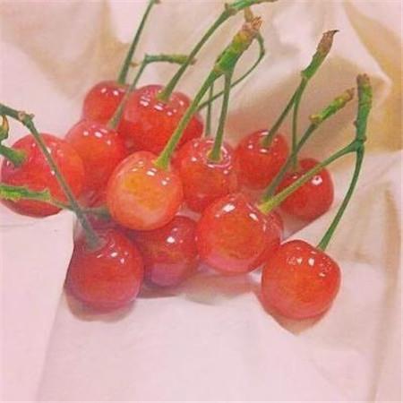 早安心情一句话十个字正能量，早安短语