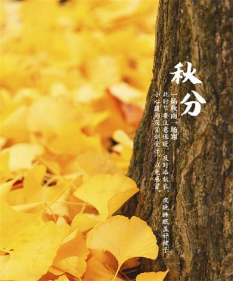 棋形与胜负