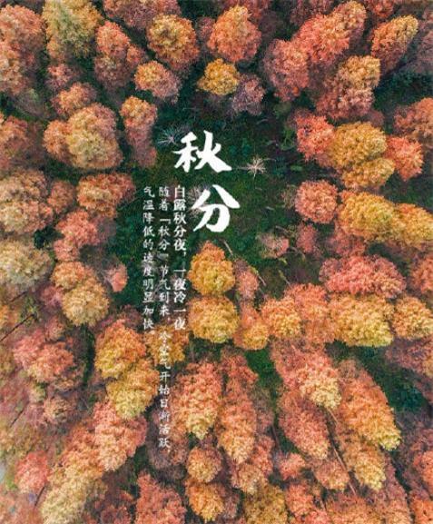 神秘幽灵