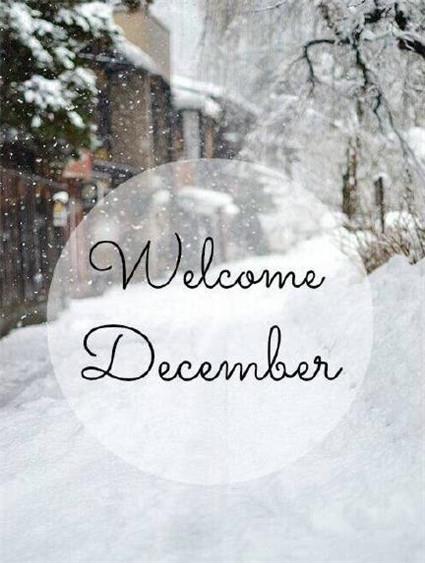 [美] 凯特·沃【狗知道答案】- 工作犬背后的科学和奇迹