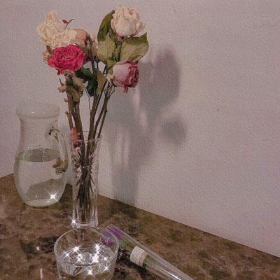 月亮,祝我中秋节快乐