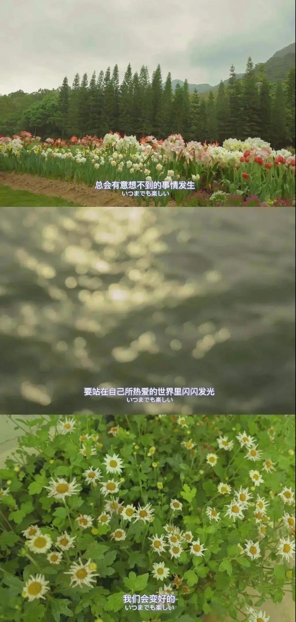 骨器店之骨玩具车