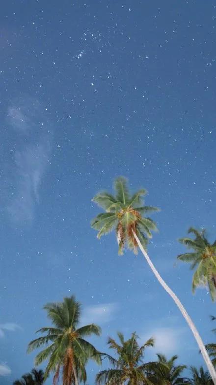 欣赏自己的芳香