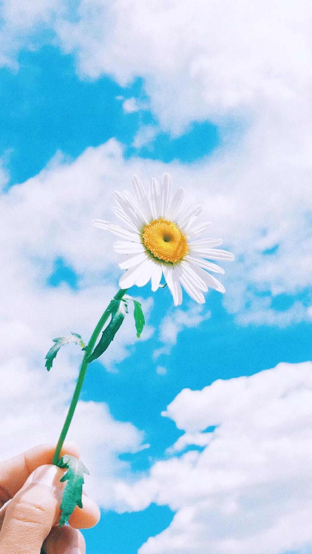 马桶的倒影