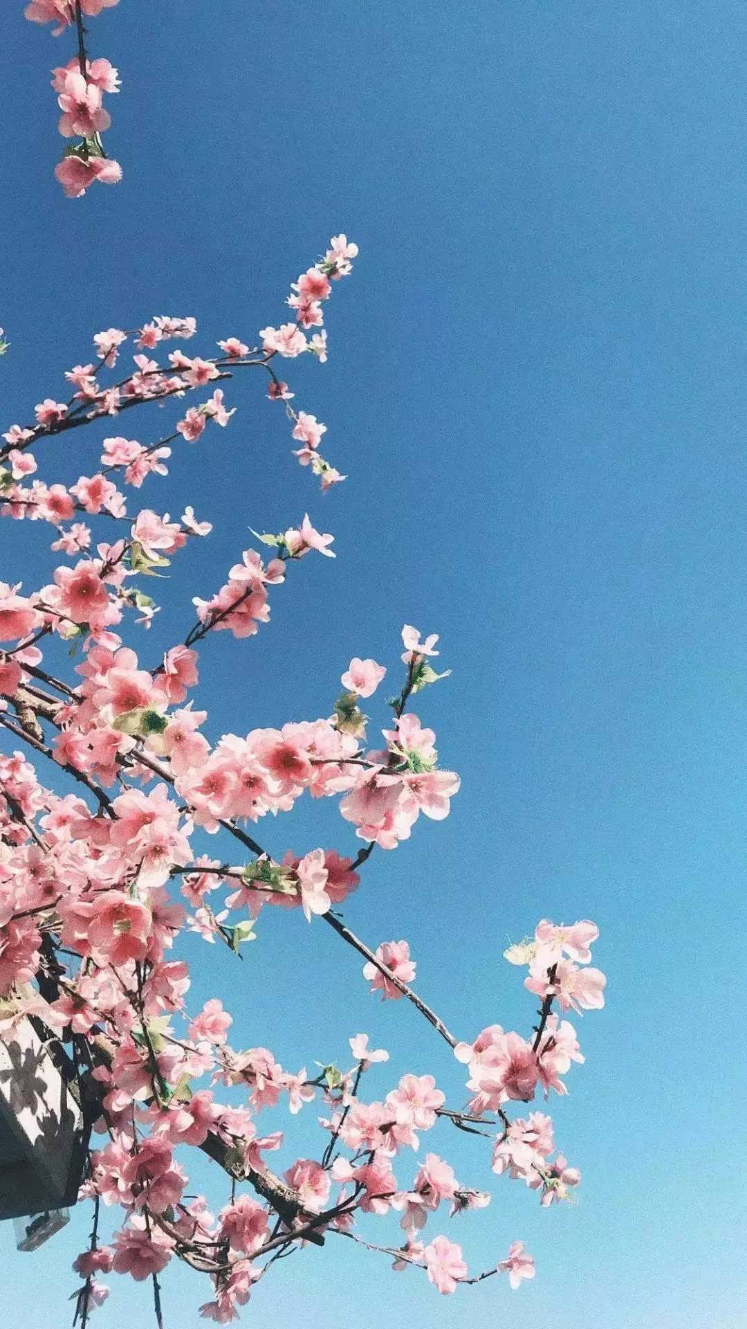 求爱短信,求爱的话
