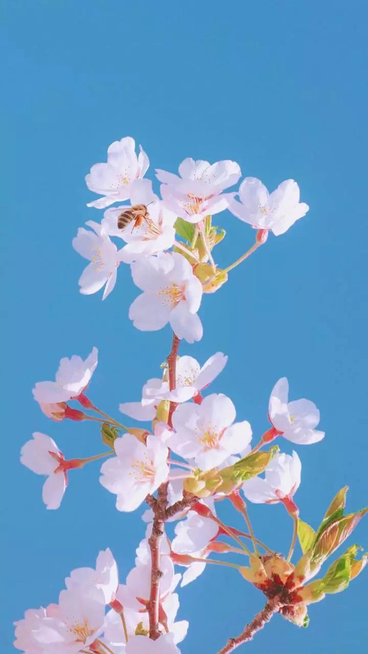 只要心中有爱